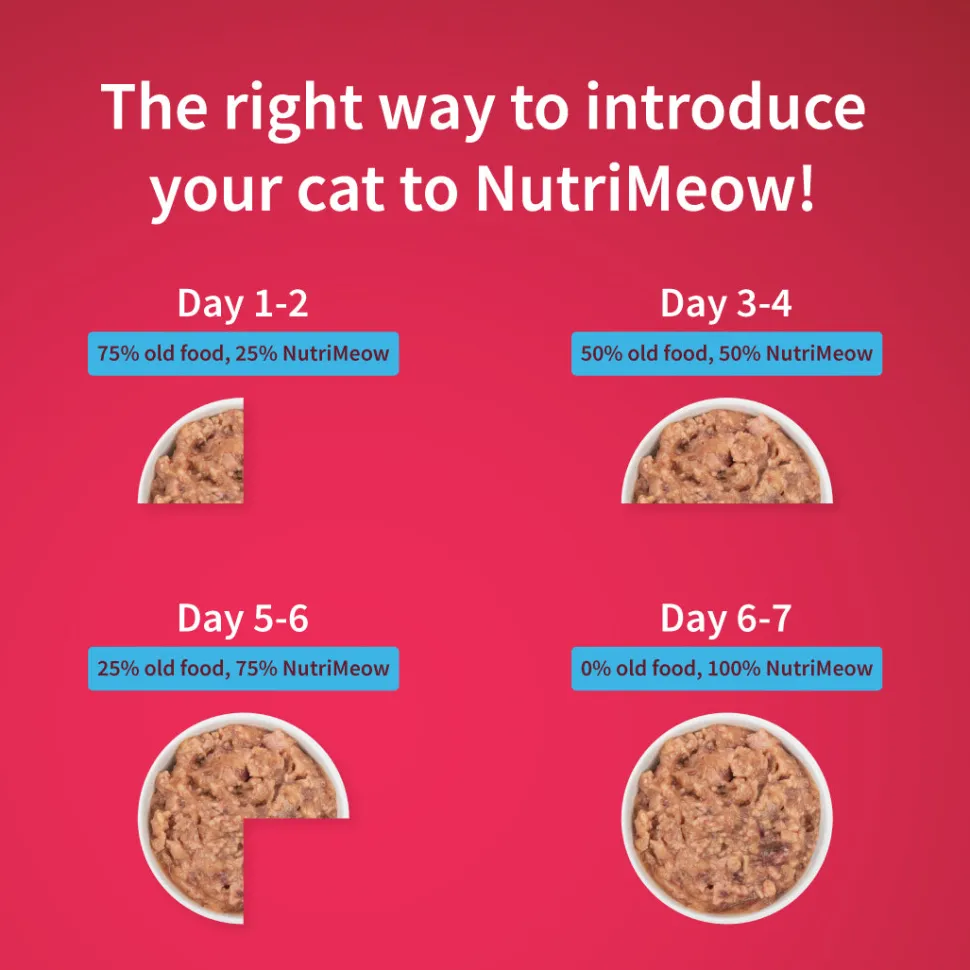 NutriMeow Kitten Food Trial Pack of 2 (80 gm each)