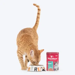 NutriMeow Oceanfish In Gravy Wet Food For Adult Cat - 80 gm