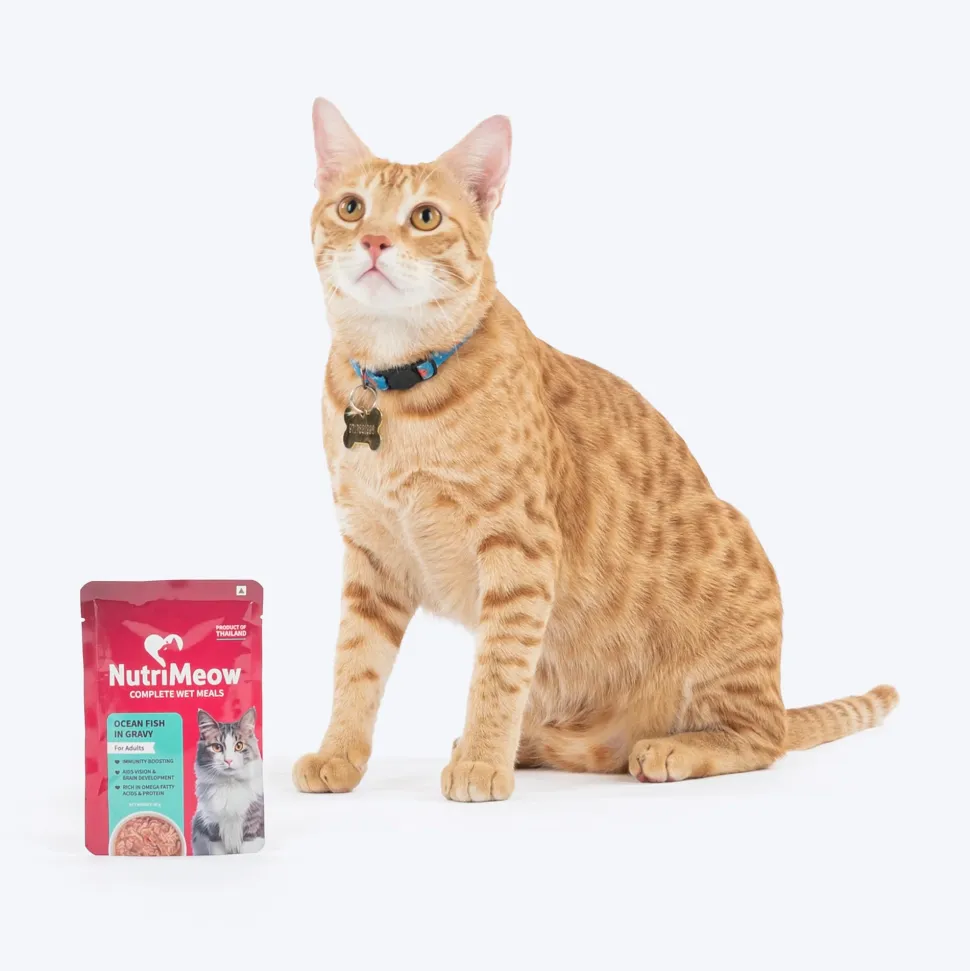 NutriMeow Oceanfish In Gravy Wet Food For Adult Cat - 80 gm