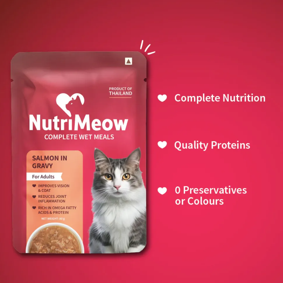 NutriMeow Salmon In Gravy Wet Food For Adult Cat - 80 gm