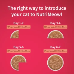 NutriMeow Salmon In Gravy Wet Food For Adult Cat - 80 gm