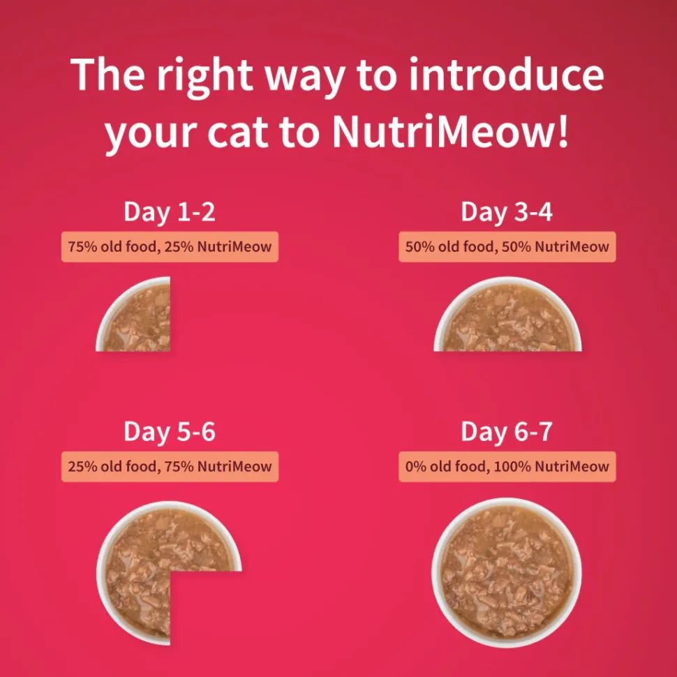 NutriMeow Salmon In Gravy Wet Food For Adult Cat - 80 gm