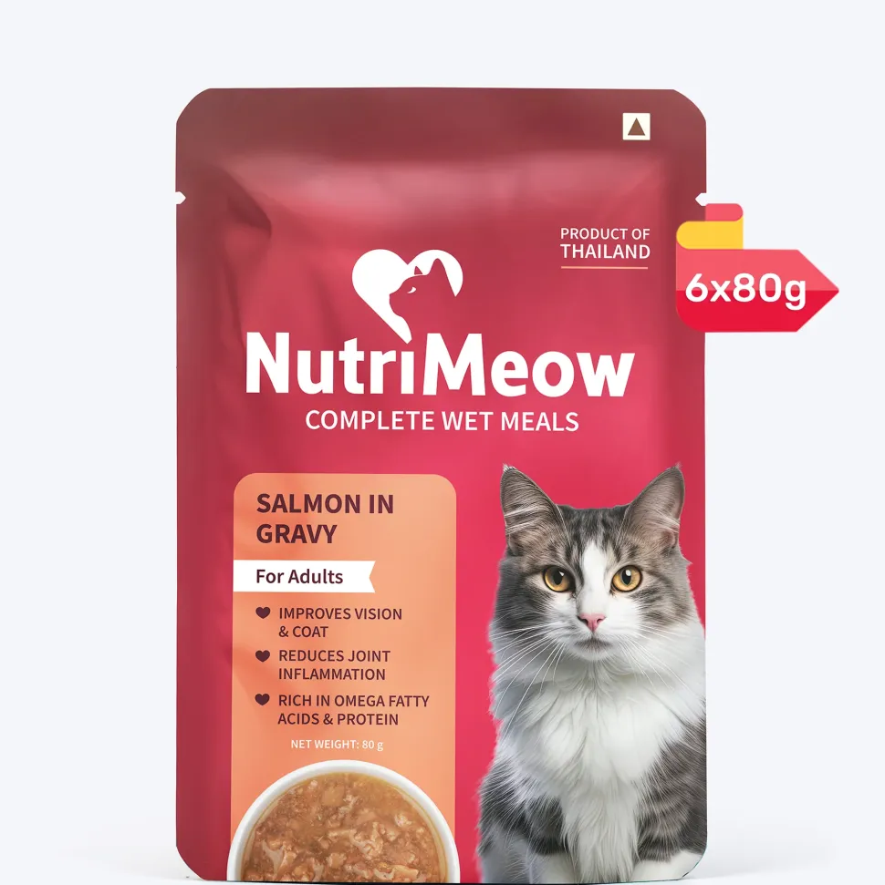 NutriMeow Salmon In Gravy Wet Food For Adult Cat - 80 gm