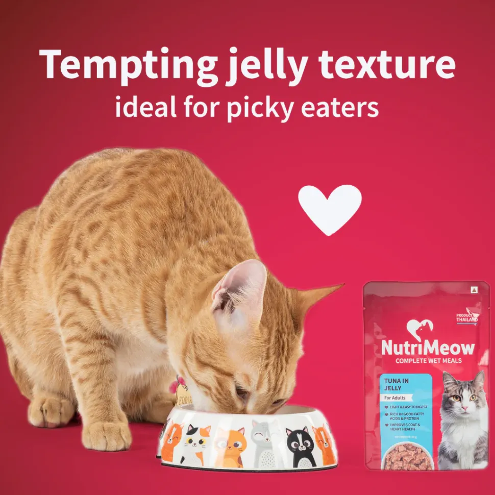 NutriMeow Tuna In Jelly Wet Food For Adult Cat - 80 gm