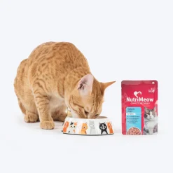 NutriMeow Tuna In Jelly Wet Food For Adult Cat - 80 gm