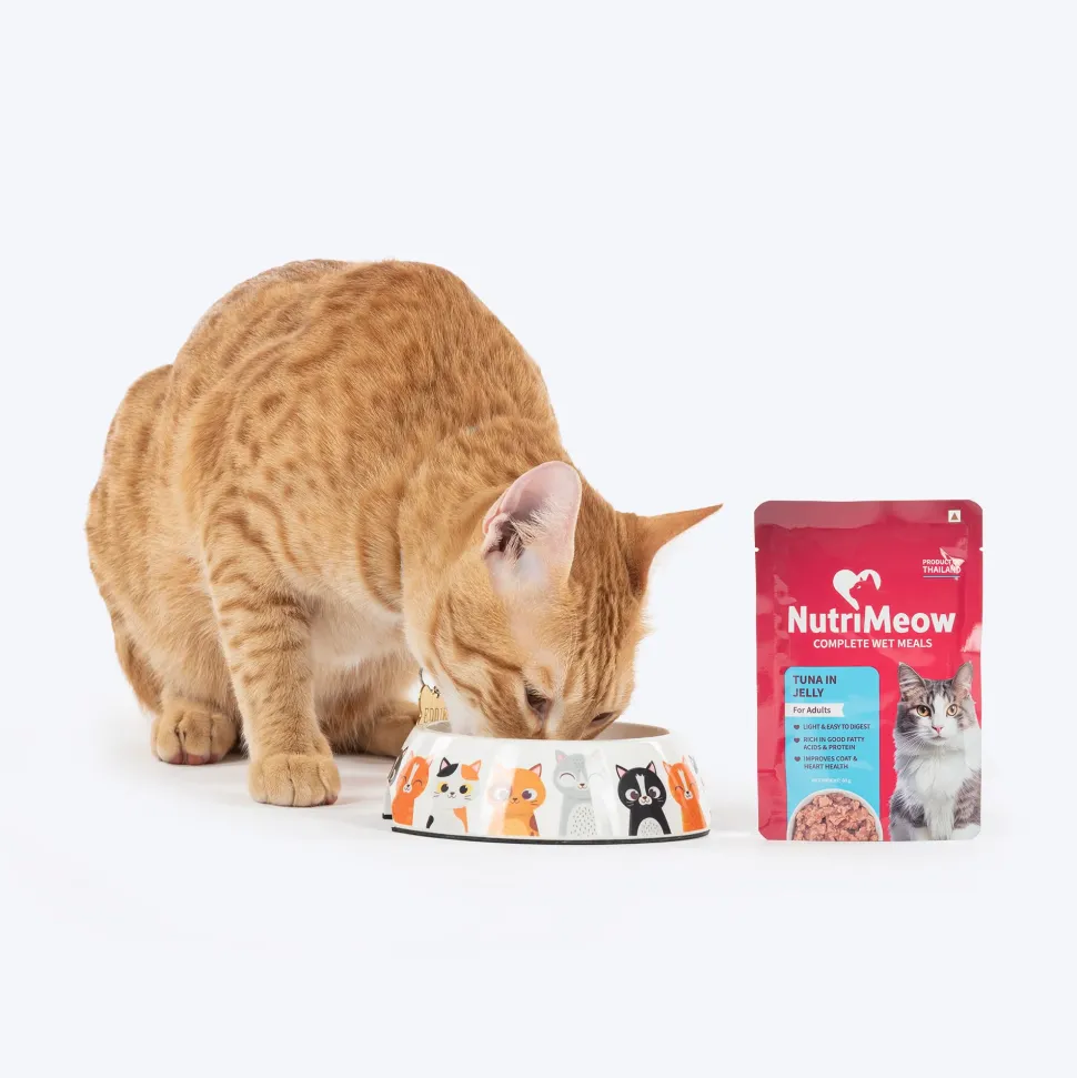 NutriMeow Tuna In Jelly Wet Food For Adult Cat - 80 gm