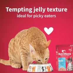 NutriMeow Tuna In Jelly Wet Food For Kitten - 80 gm