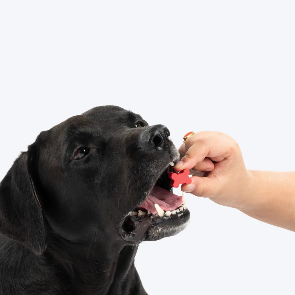 NutriWag Assorted Training Bites Treats For Dog - 200 gm