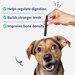 NutriWag Chicken & Cheese Duo Sticks Treats For Dog - 70 gm