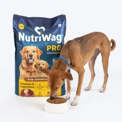 NutriWag Pro Active Chicken & Vegetable Dry Food For Dog - 20 kg