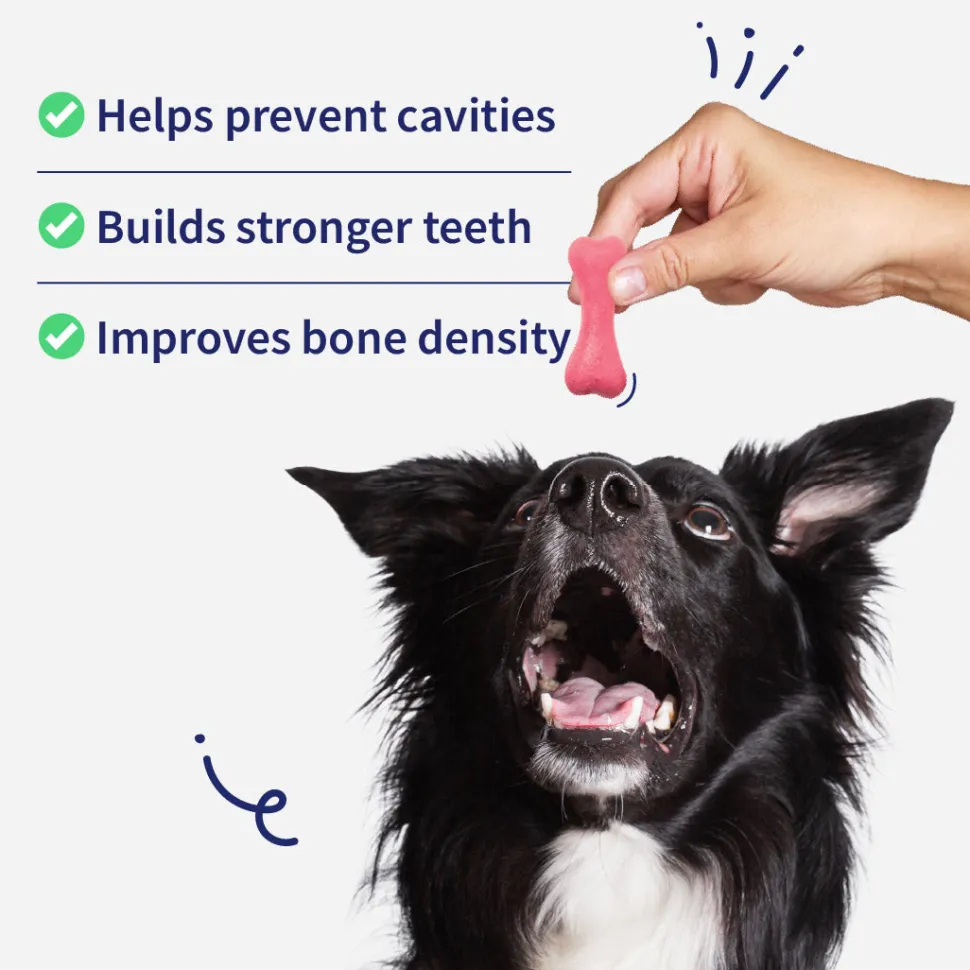 NutriWag Strawberry Calcium Chew Bones Treats For Dog
