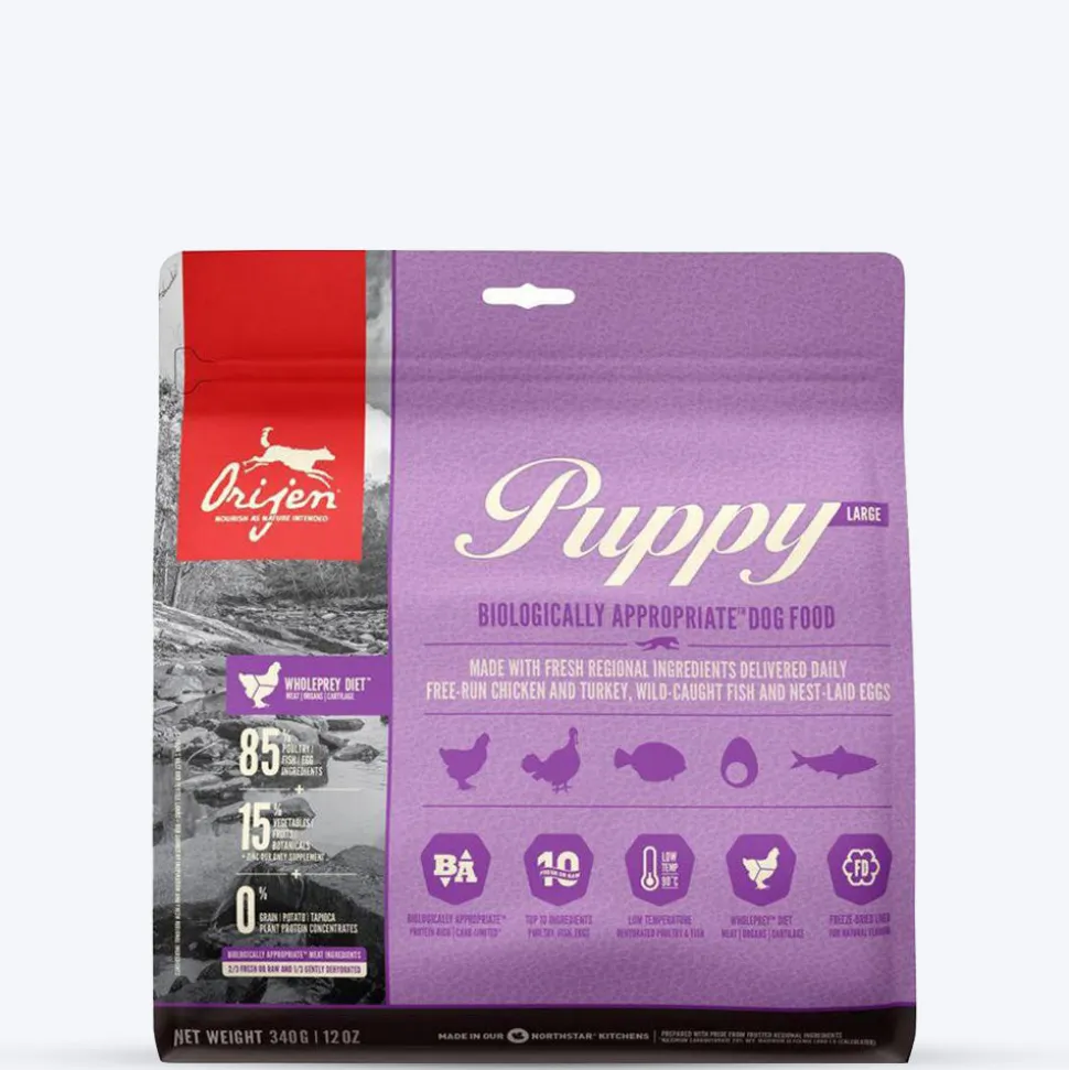 Orijen Grain Free Large Breed Dry Puppy Food