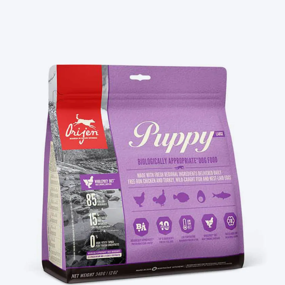 Orijen Grain Free Large Breed Dry Puppy Food