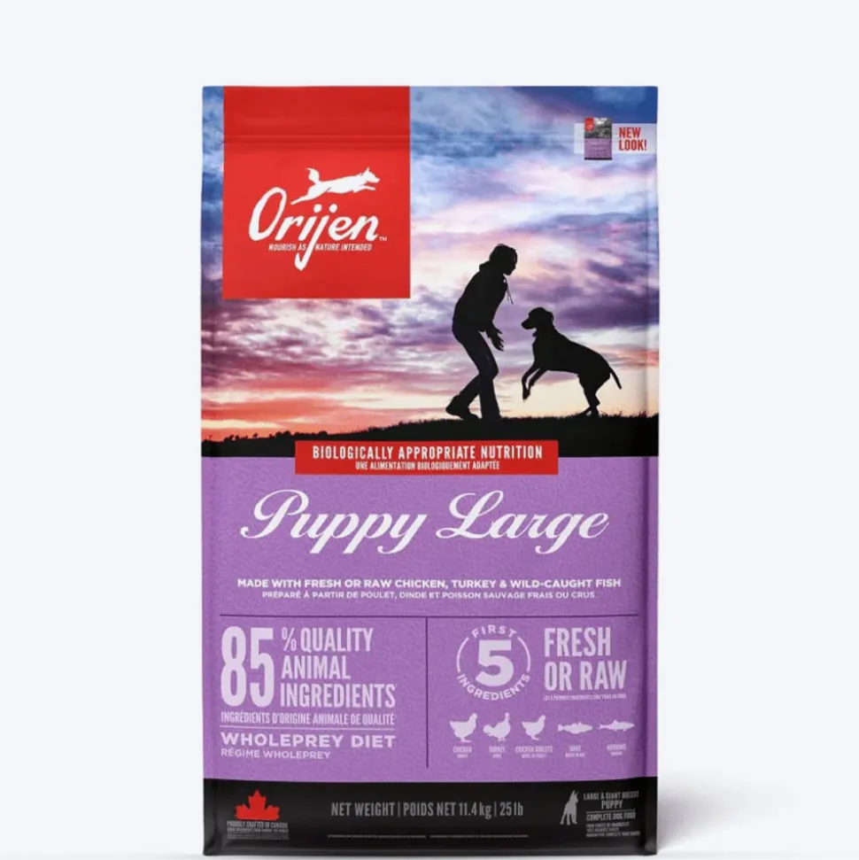 Orijen Grain Free Large Breed Dry Puppy Food