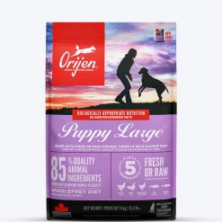Orijen Grain Free Large Breed Dry Puppy Food