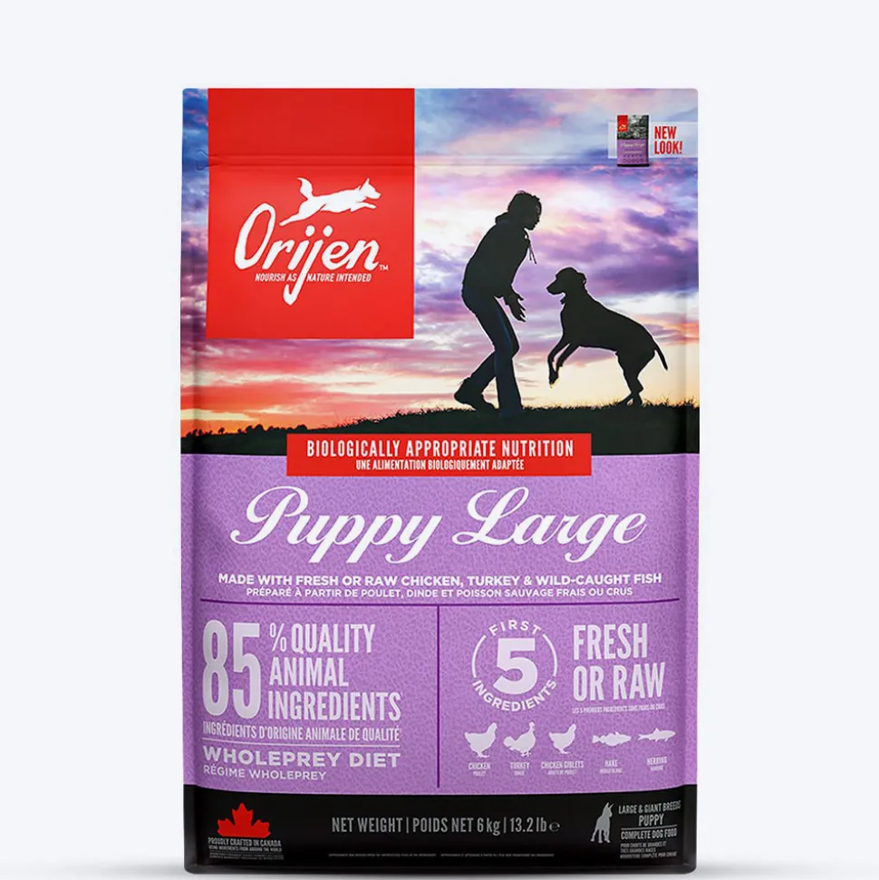 Orijen Grain Free Large Breed Dry Puppy Food