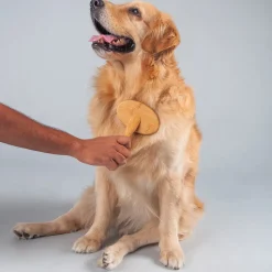 Paws For Earth Bamboo Slicker Brush For Dog & Cat - S