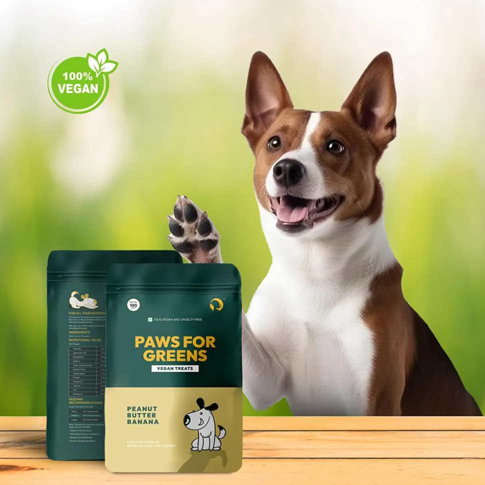 Paws For Greens Vegan Peanut Butter & Banana Treats For Dog - 100 gm