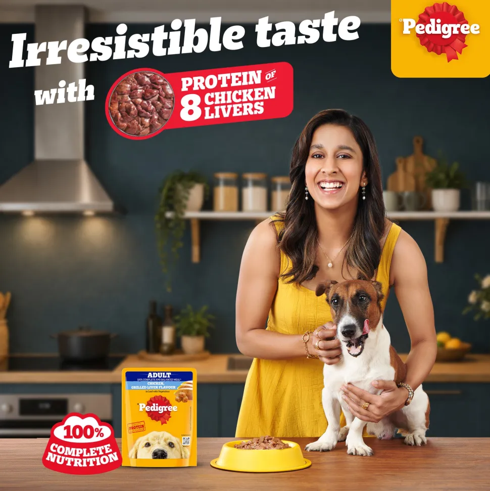 Pedigree Chicken Grilled Liver Flavour In Loaf With Vegetables Adult Dog Wet Food - 70 gm Packs