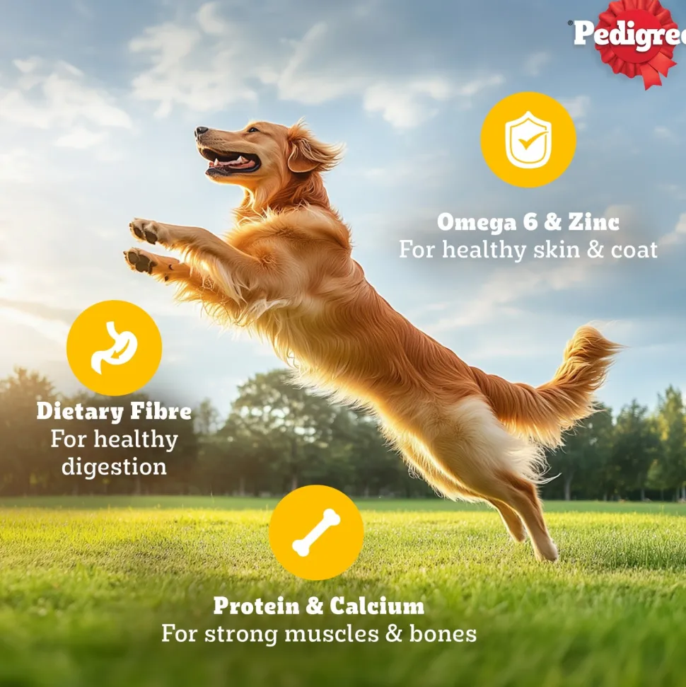Pedigree Chicken & Liver Chunks in Gravy Adult Wet Dog Food - 70 g packs