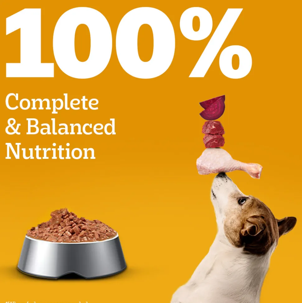 Pedigree Chicken & Liver Chunks in Gravy Adult Wet Dog Food - 70 g packs