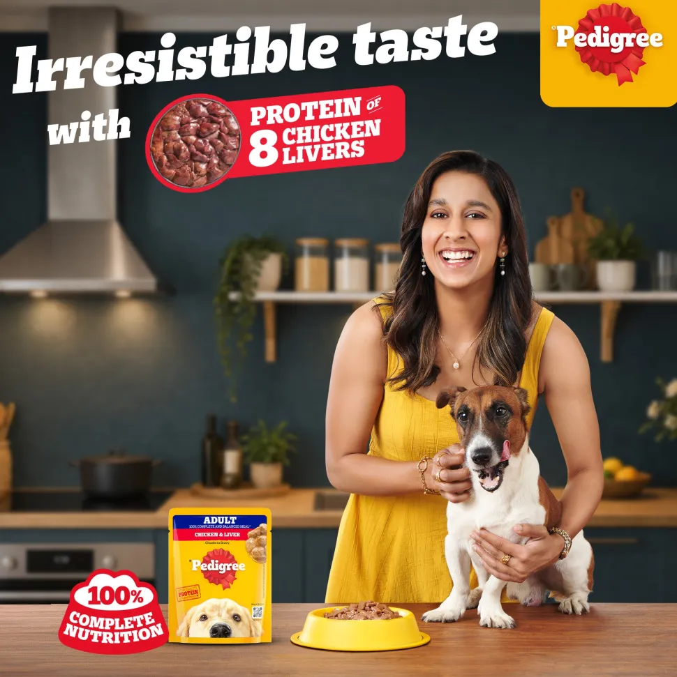 Pedigree Chicken & Liver Chunks in Gravy Adult Wet Dog Food - 70 g packs