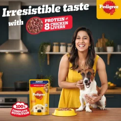 Pedigree Chicken & Liver Chunks In Gravy Adult Dog Wet Food - 130 g