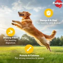 Pedigree Chicken & Liver Chunks In Gravy Adult Dog Wet Food - 130 g