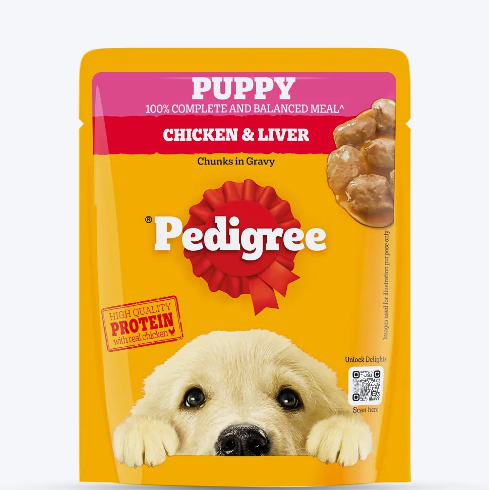 Pedigree Chicken & Liver Chunks in Gravy Wet Puppy Food - 70 g packs
