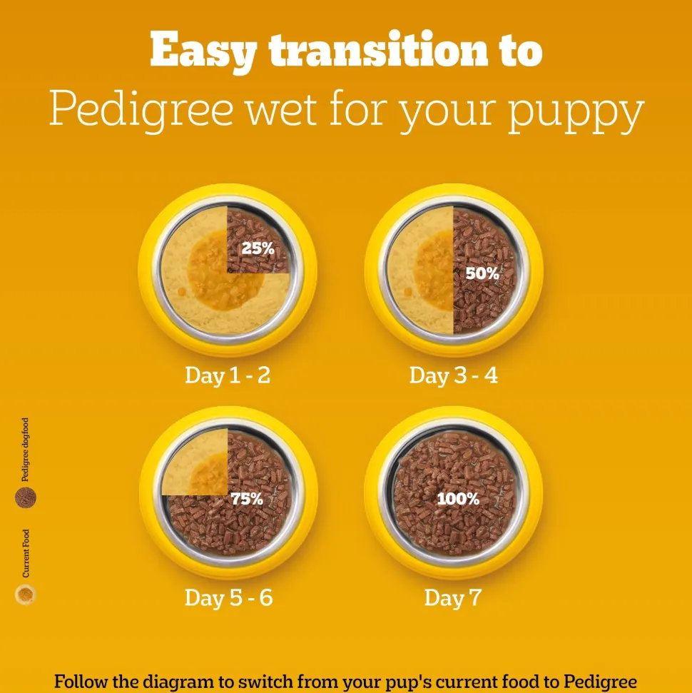 Pedigree Chicken & Liver Chunks In Gravy New Born Puppy Wet Food - 2.1 kg (30x0.07 kg)
