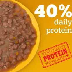 Pedigree Chicken & Liver Chunks in Gravy with Vegetables Wet Puppy Food - 70gm Packs