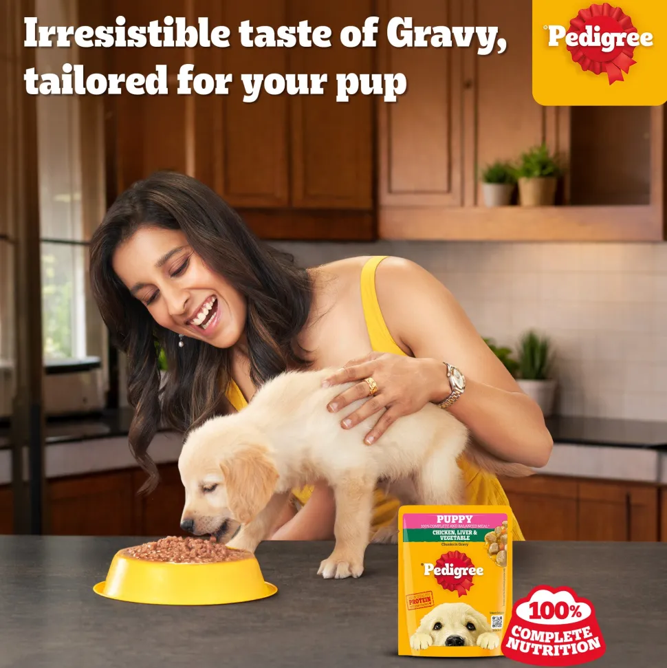 Pedigree Chicken & Liver Chunks in Gravy with Vegetables Wet Puppy Food - 70gm Packs