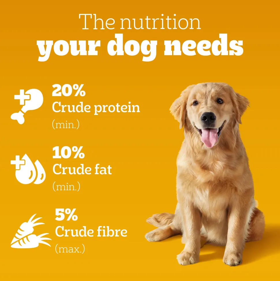 Pedigree Chicken & Vegetables Dry Food For Adult Dog