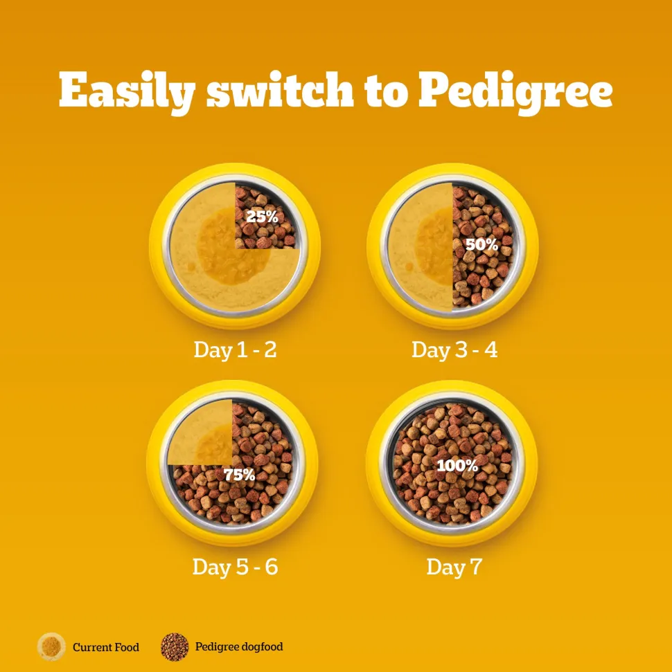 Pedigree Chicken & Vegetables Dry Food For Adult Dog