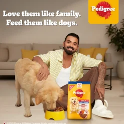 Pedigree Chicken & Vegetables Dry Food For Adult Dog