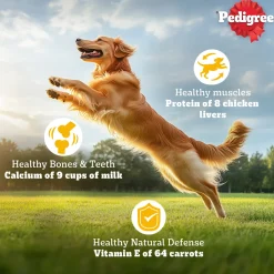 Pedigree Chicken & Vegetables Dry Food For Adult Dog