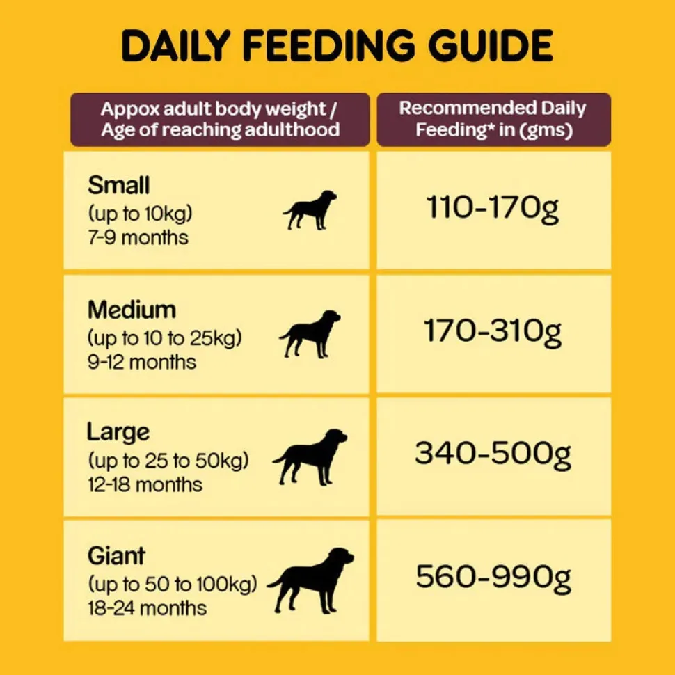 Pedigree Food & Dentastix Adult Dog Treat Combo - Pack of 2