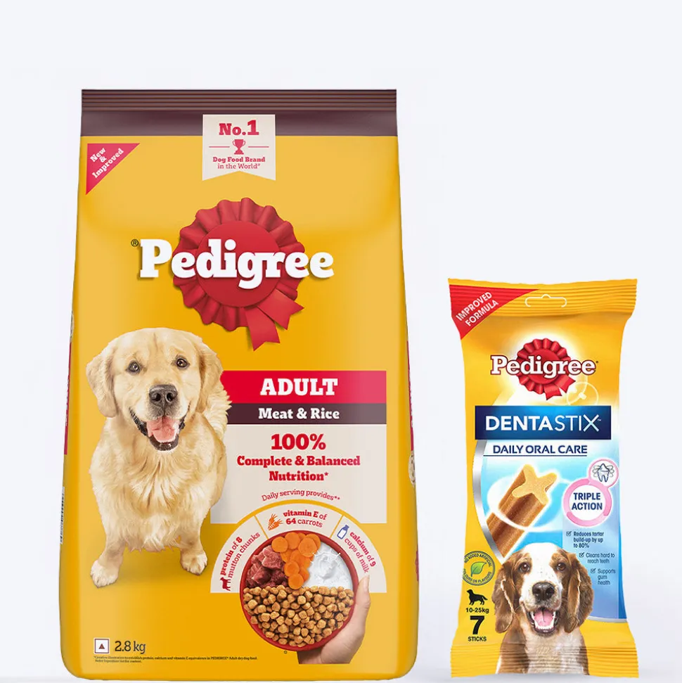 Pedigree Food & Dentastix Adult Dog Treat Combo - Pack of 2