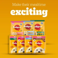 Pedigree Lamb Chunks In Gravy Puppy Wet Food - 70 g