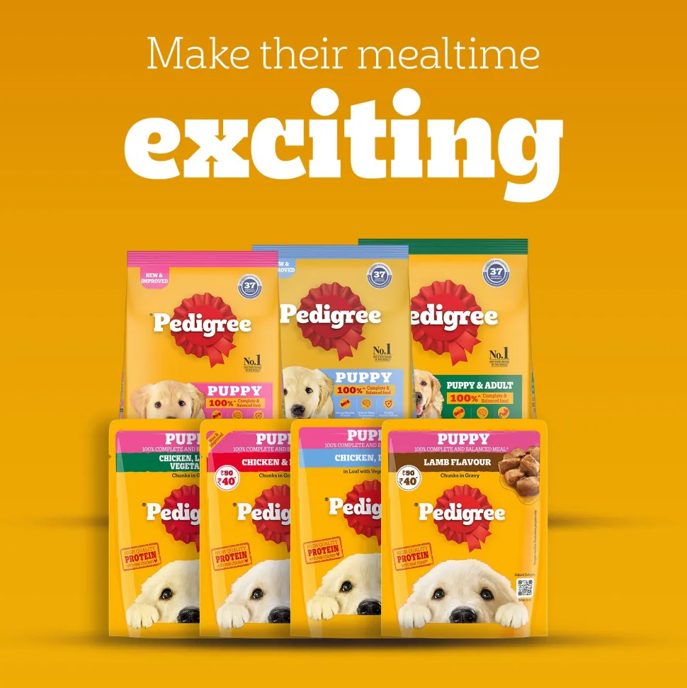 Pedigree Lamb Chunks In Gravy Puppy Wet Food - 70 g