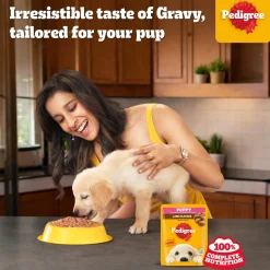Pedigree Lamb Chunks In Gravy Puppy Wet Food - 70 g
