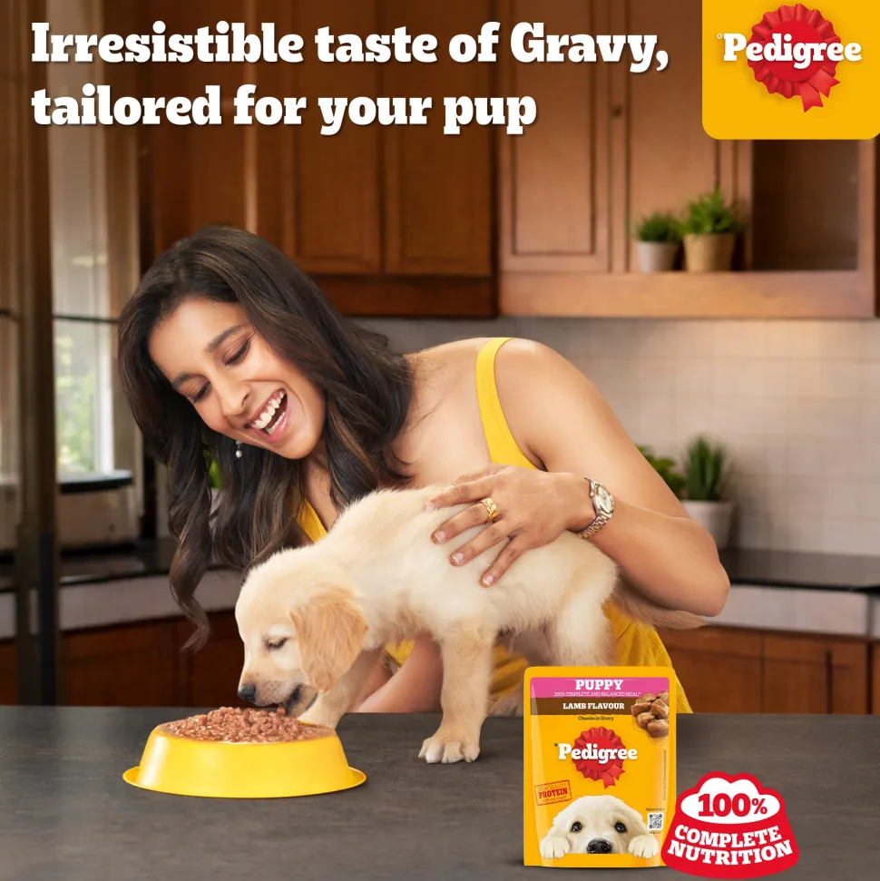 Pedigree Lamb Chunks In Gravy Puppy Wet Food - 70 g
