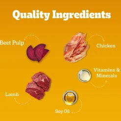 Pedigree Lamb Chunks In Gravy Puppy Wet Food - 70 g