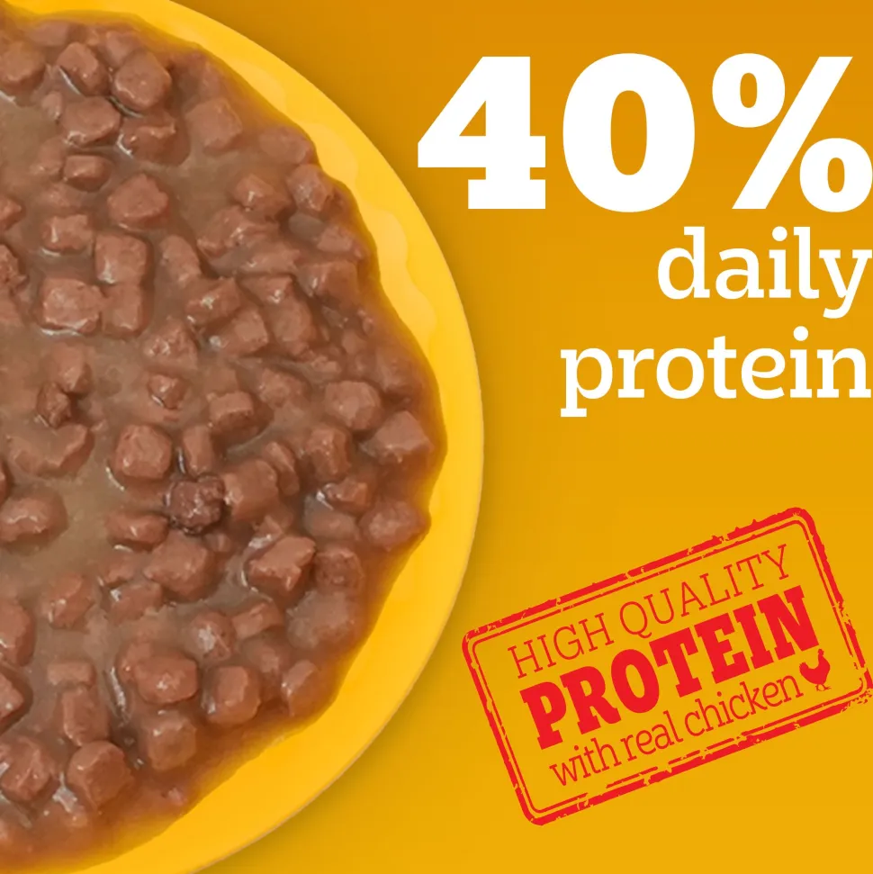 Pedigree Lamb Chunks In Gravy Puppy Wet Food - 70 g