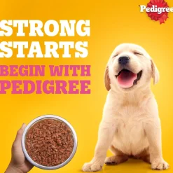 Pedigree Lamb Chunks In Gravy Puppy Wet Food - 70 g
