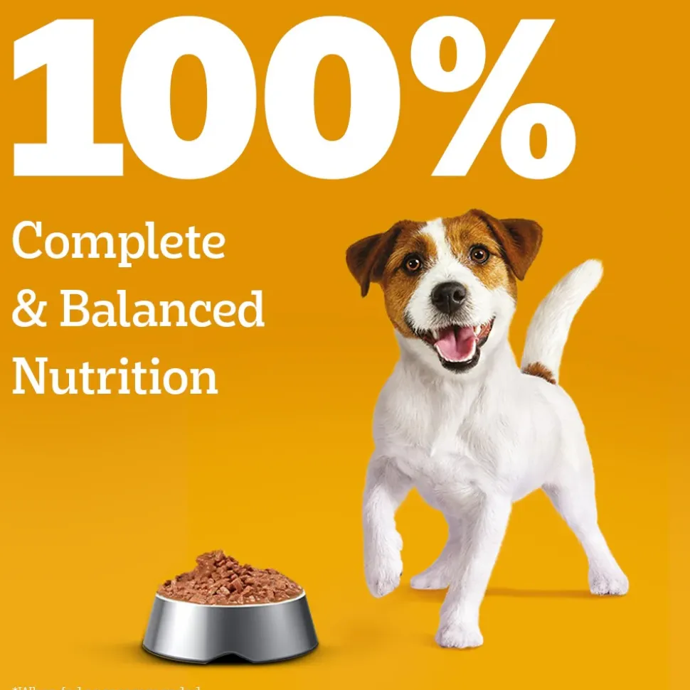 Pedigree Lamb Flavour Chunks In Gravy Puppy Wet Dog Food - 130 g