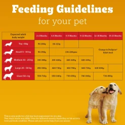 Pedigree Meat & Milk Puppy Dry Dog Food (Contains 37 Essential Nutrients)