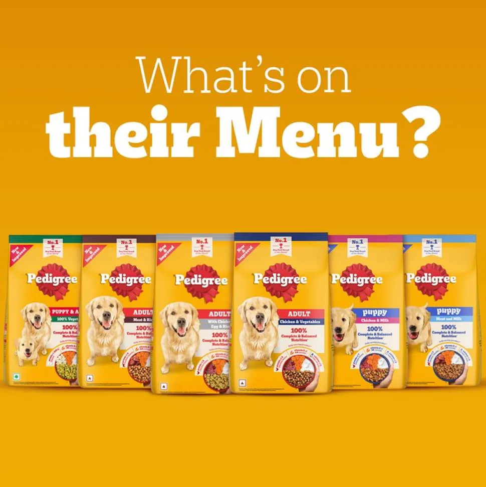 Pedigree Meat & Milk Puppy Dry Dog Food (Contains 37 Essential Nutrients)
