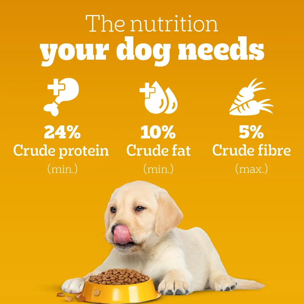 Pedigree Meat & Milk Puppy Dry Dog Food (Contains 37 Essential Nutrients)