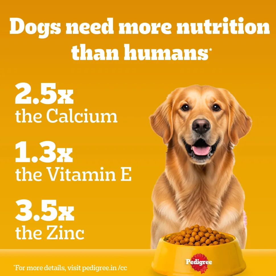 Pedigree Meat & Rice Dry Food For Adult Dog
